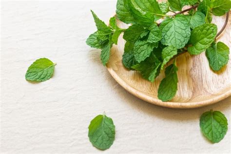 Pipirmėtė ir citrina peršalimo gydymui