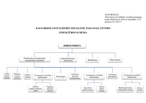 Schema: Dienos socialinės globos paslaugų teikimo procesas