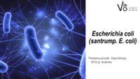 Bakterijos Escherichia coli