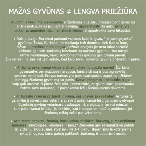 Schematinis nėštumo laiko juostos vaizdas su svarbiausiais etapais nuo apvaisinimo iki gimimo.