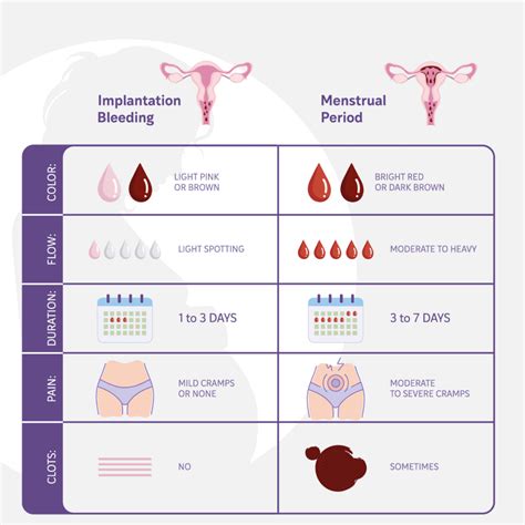 schema of implantation bleeding