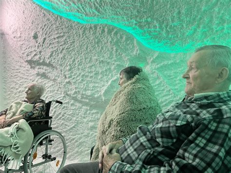 Infografika apie paslaugų kainas senelių namuose