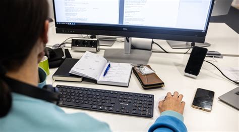 Schematinis placentos vaizdas ir jos dydis