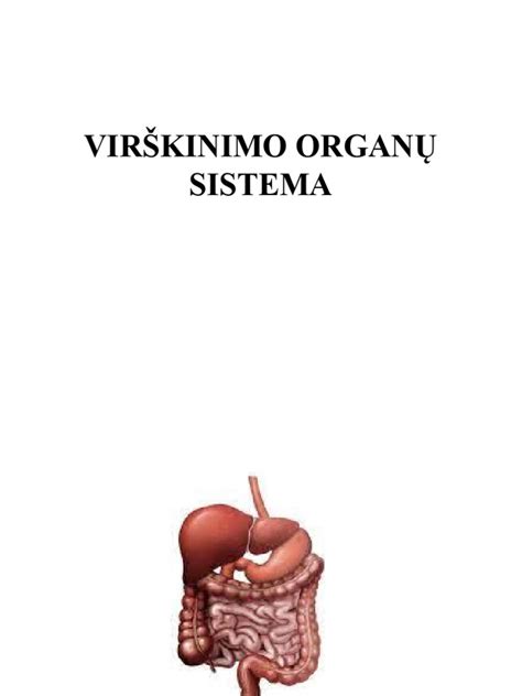 vizualizacija virškinimo organų
