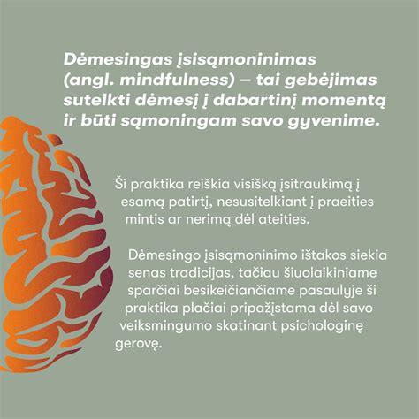 Hormonų tyrimų schematinis pavaizdavimas
