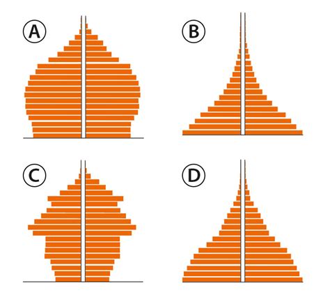 Amžiaus piramidė, iliustruojanti Lietuvos gyventojų pasiskirstymą