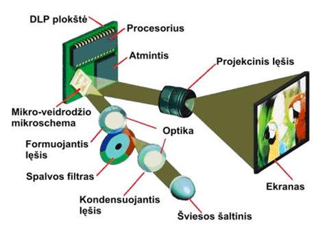 Vaizdo auklės veikimo schema