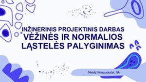 Schematinis normalios placentos ir placentos pirmeigos palyginimas