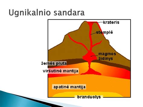 Schema, vaizduojanti pagrindines žiedo dalis