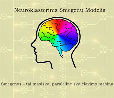 schemos paaiškinanti smegenų neuronų veiklą