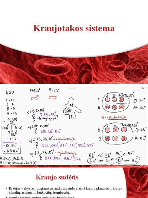 Schema, iliustruojanti kraujo krešulių susidarymo mechanizmą venose