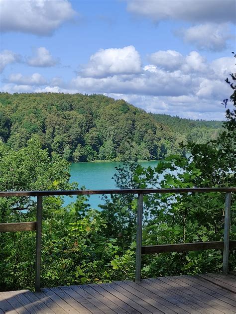 Pažintinis žygis gamtoje