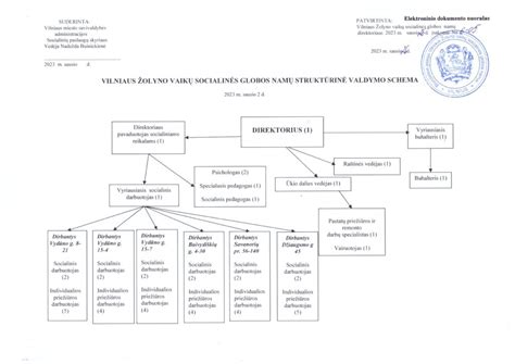Socialinės globos įstaigos vadovo funkcijų schema