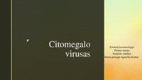 Citomegalo virusas