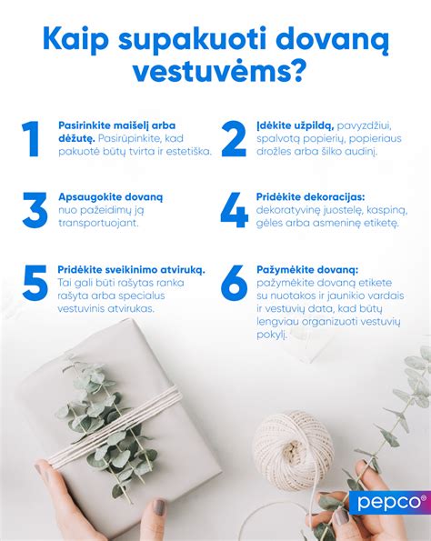Infografika su vaisingumo lango iliustracija