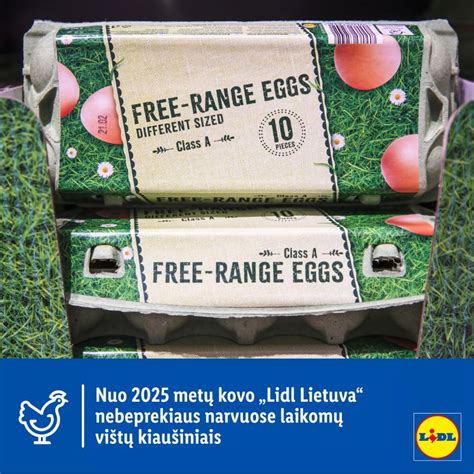 Šviežių kiaušinių patikrinimas