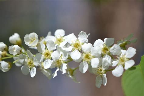 Ievos Andrejevaitės vaikystė