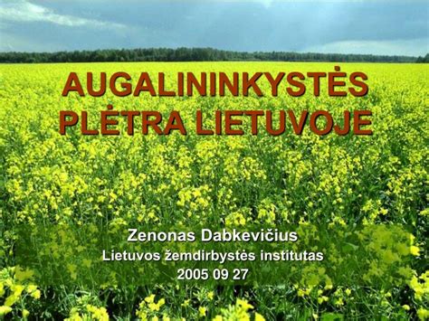 šeimynų plėtra Lietuvoje