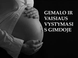 vizualizacija vaisiaus padėties gimdoje