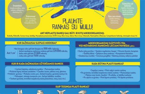 simbolinis paveikslėlis, vaizduojantis saugų maistą ir švarias rankas