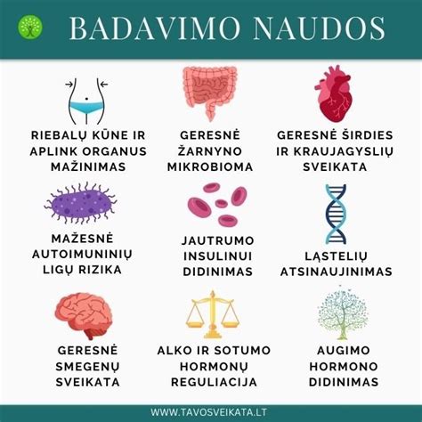 Infografika: