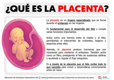 Placenta su vaisiumi