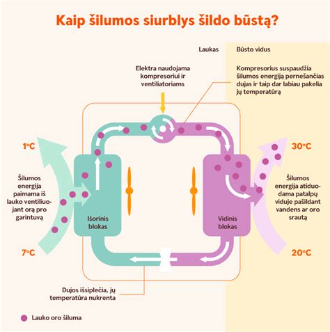 Saulės ir šilumos smūgio palyginimas
