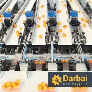 Darbuotojai, dirbantys vaisių pakavimo fabrike