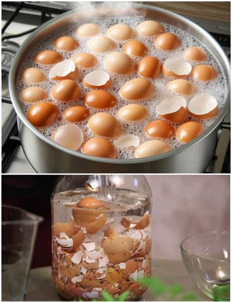 Kiaušinių atvėsinimas šaltame vandenyje