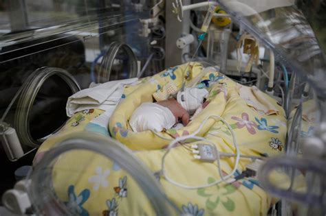 Pirmasis dirbtinio apvaisinimo kūdikis Louise Brown