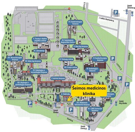 Schema, iliustruojanti LSMU Kauno klinikų Akušerijos ir ginekologijos klinikos struktūrą