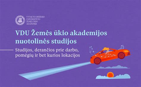 Nuotolinės auklės darbo schema