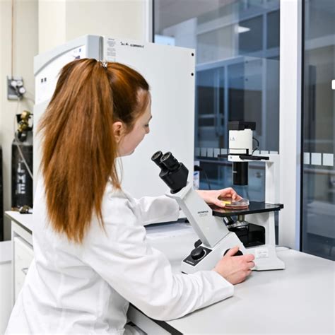 kamieninių ląstelių tyrimai