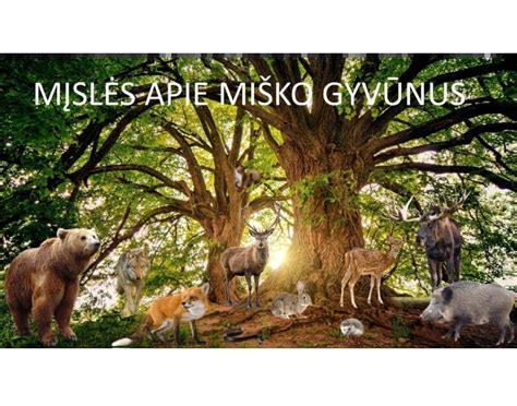 Miško gyvūnai švenčia Kalėdas