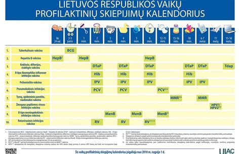 Infografika: vaikų darželių skaičius Lietuvoje pagal tipą