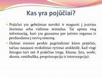 schemą, kaip muzikos elementai siejasi su matematika