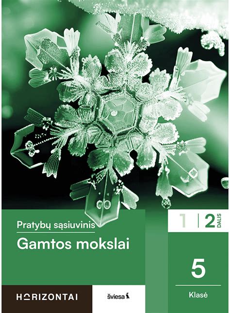 schematinis gamtos mokslų medelis