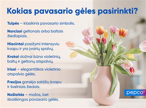 Pavasarinės dekoracijos iš balionų