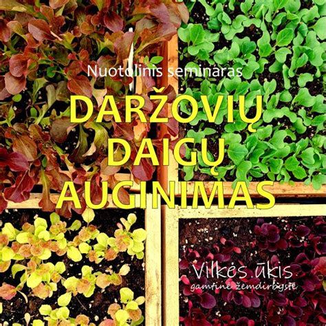 Daržovių daigų dygimas