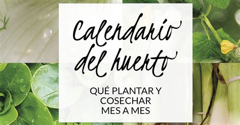 Daržovių auginimo kalendorius