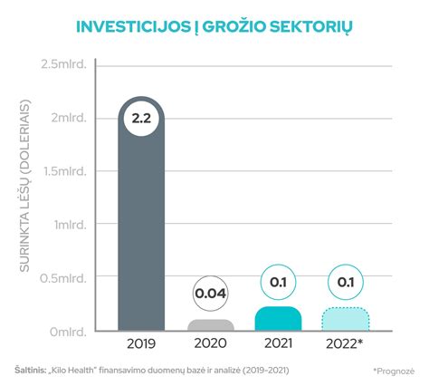 Investicijos į vaikų darželio įkūrimą