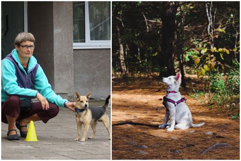 vaikas glostantis šunį