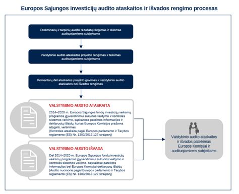 Schema vidaus audito proceso etapu