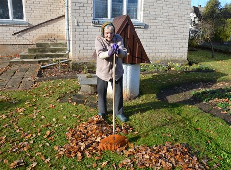 Fantazijos apie medžius ir žmones