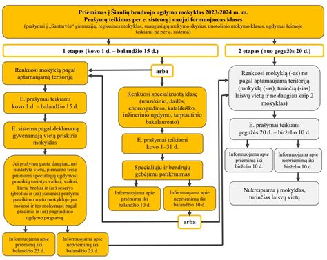 Schema: Kaip vyksta priėmimas į mokyklas