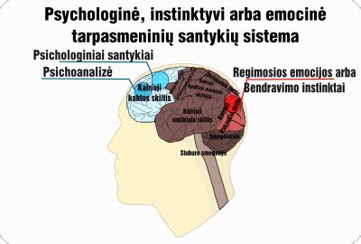 schema verslo santykiu