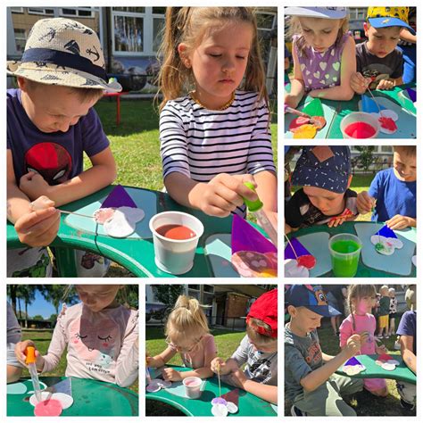 vaikų gamtosauginė veikla