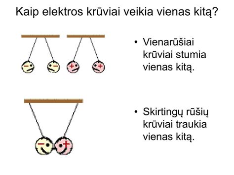 Schema, kaip augalai veikia vienas kitą