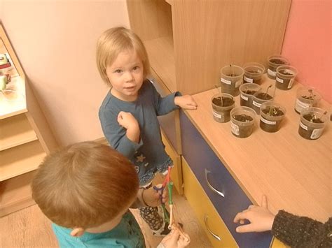 vaikai tyrinėja daržoves