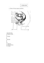 Moters ir vyro reprodukcinės sistemos schema